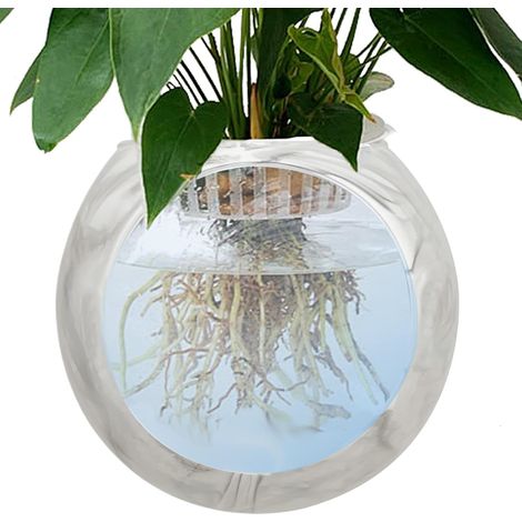Pot De Mural Transparent Terrarium Globe Bol Support Tillandsia Station Vases Muraux Pour s Station de Propagation Globe Bol Aériennes Succulentes Déco Maison Hydroponie (1/5)