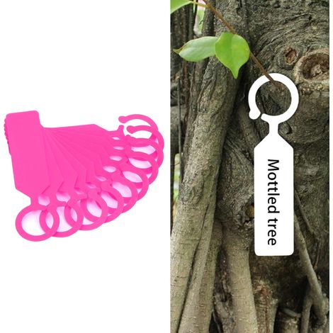 Set mit 100 dekorativen Pflanzen- und Baumetiketten zum Aufhängen für Blumen und andere Pflanzen. Gartenaccessoire, 11 x 2,4 cm, rosa. (1/5)