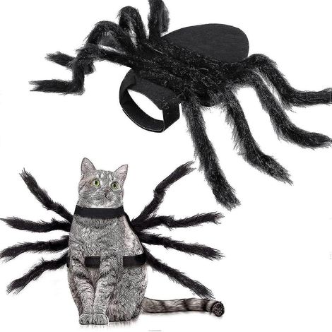 Déguisement d'araignée d'Halloween pour chiens et chats, costume d'Halloween pour animaux de compagnie, Halloween (1/5)