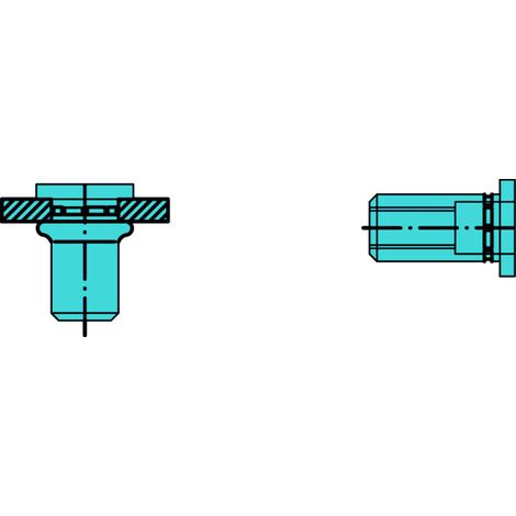 Écrou à river PolyGrip tige de rivet d x l 9 x 18 mm M6 acier inoxydable A2 têt 250 pièces