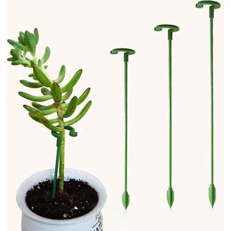 Lot de 30 Tuteurs pour Plantes Jardin Fleurs Orchidées Pivoines Lys Roses Tiges Simples (1/3)