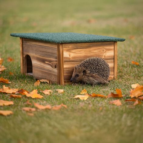 Hedgehog House, Weatherproof Roof, Cat-Proof Entrance (1/5)