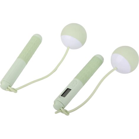 Corde à Sauter Électronique avec Compteur de Sauts - Poids Amovibles pour Entraînement Fitness - Idéale pour Exercices à la Maison (1/5)