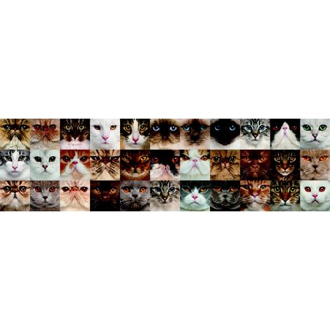 Frise auto-collante Chatons - 1 rouleau de 14 cm x 500 cm (1/2)