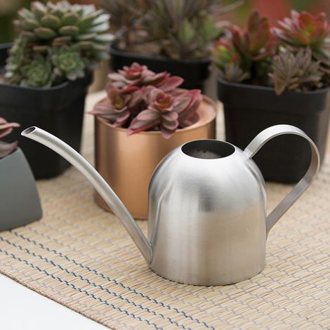 1000 ml Edelstahl-Gießkanne für drinnen und draußen, Gartenpflanzen, Blumen, langer Ausguss, Gießtopf (1/5)