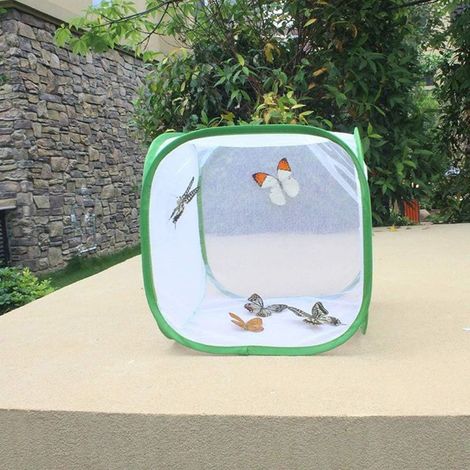 Grande cage à papillons, habitat pliable pour chenilles, cage en filet pour insectes et papillons avec maison à papillons et fermeture éclair (30 x 30 x 30 cm) (1/5)