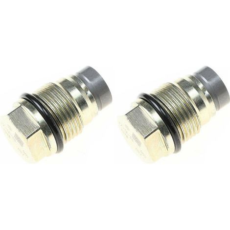 2X 1110010015 1110010017 1110010018 1110010028 Válvula limitadora de presión del riel de combustible para DAF