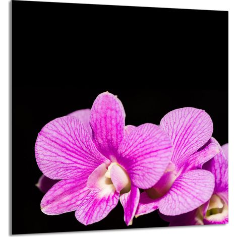 Panneau de verre POUR la cuisine 60x65 Orchidée (1/5)