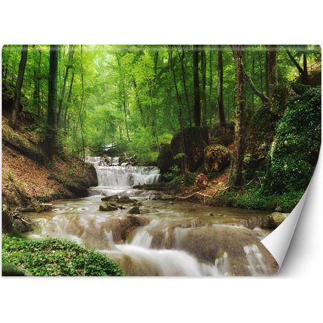 Fototapete, Bergbach Wald Natur – 350x245 (1/5)