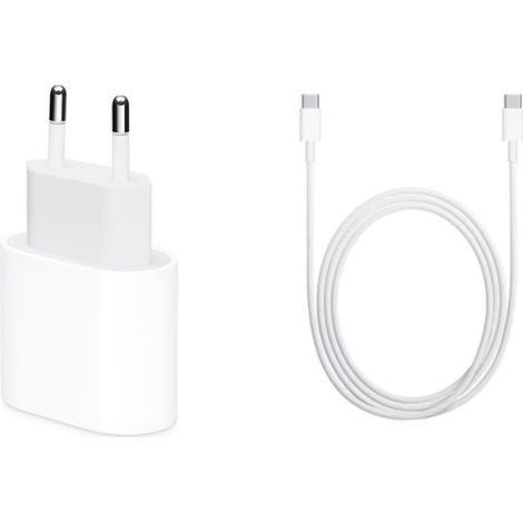 Chargeur 20 W pour tablette Apple iPad Pro 12,9" (2020) + câble de données USB-C vers USB-C de 1 m, blanc, en vrac (1/3)