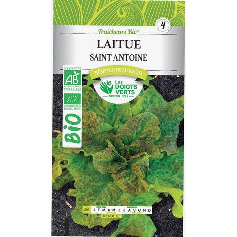 Graines laitue Saint Antoine BIO Les Doigts Verts