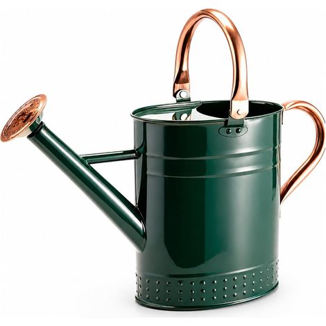 Arrosoir 1 Gallon Acier Inoxydable pour Plantes d'Intérieur - Long Bec pour Arrosage Intérieur/Extérieur Jardinage Vert (1/5)