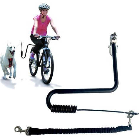 Laissez de vélo pour chien - Laisse mains libres - Absorption of chocs - Laisse pour a chien de vélo pour la course, le joggen, la randonnée - Noir (1/5)