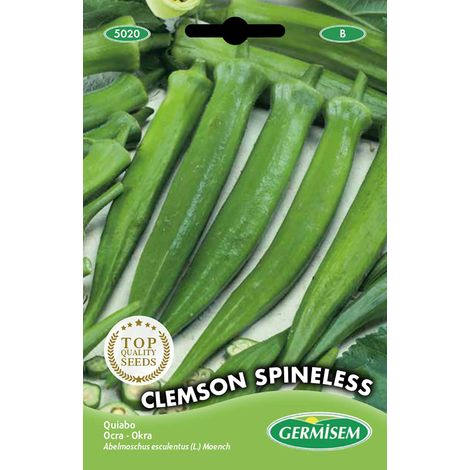 graines Ocra SPINELESS - 6g