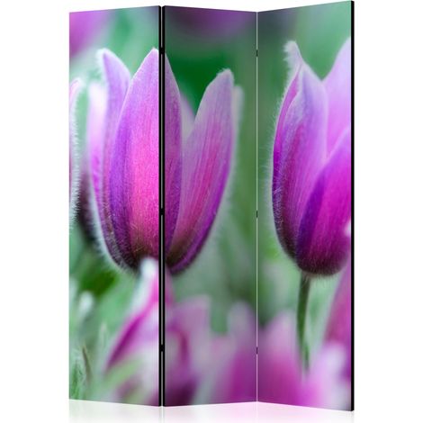Paravento - Purple spring tulips [Room Dividers] - 135x172 (1/4)
