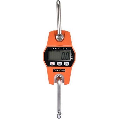 Peson Electronique 300kg Balance Crochet Suspendu Dynamomtre LCD Crochet Peseur Industrielle Pse Poids 300kg/600lbs YYV (1/4)