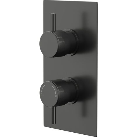 Colore Round Gunmetal Grey Concealed Twin Thermostatic Shower Valve with Diverter and Fully Knurled Control Handles - 2 Outlet (1/5)