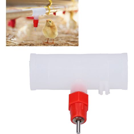 20 abreuvoirs automatiques pour poules, abreuvoirs à ressort pour cailles, matériel d'élevage avicole, tuyau 3 voies 6 points + raccord rouge (1/5)