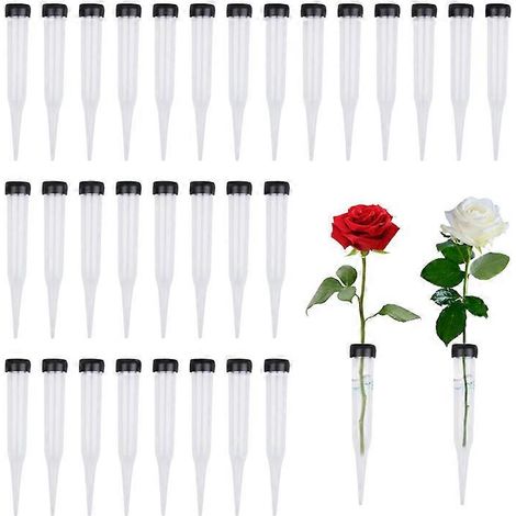 Confezione da 50 tubi di plastica trasparente per fiori – riutilizzabili (1/5)