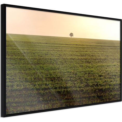 Affiche Murale Encadrée "Farmland" 60 x 40 cm Noir