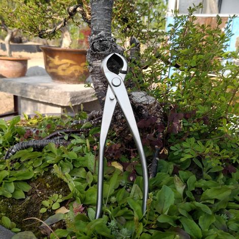 180 mm Edelstahl-Kugelschere mit Knauf für Landschaftsgestaltung, Garten- und Bonsaiarbeiten (1/5)