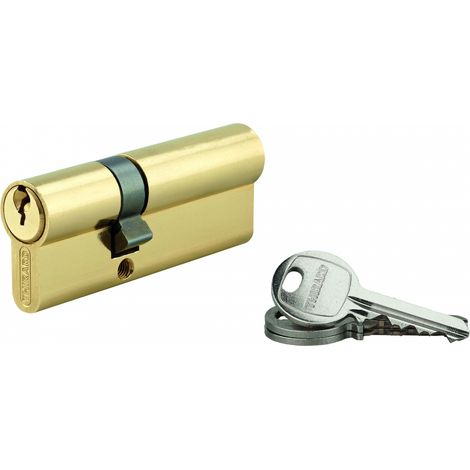 Cilindro europeo SA UNIKEY 30 x 50 mm in ottone, chiave uguale, 3 chiavi - THIRARD (1/2)