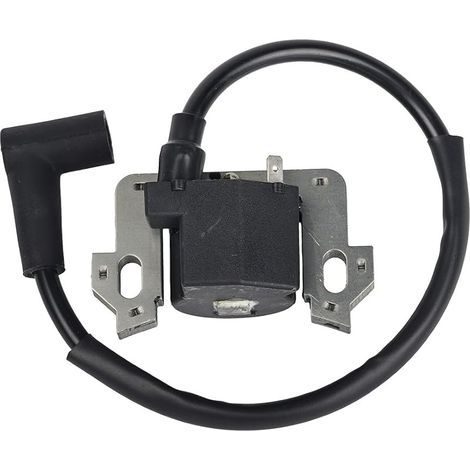 Module de Bobine D'allumage compatible avec Honda GCV135 GCV160 GCV190 GSV160 (1/5)