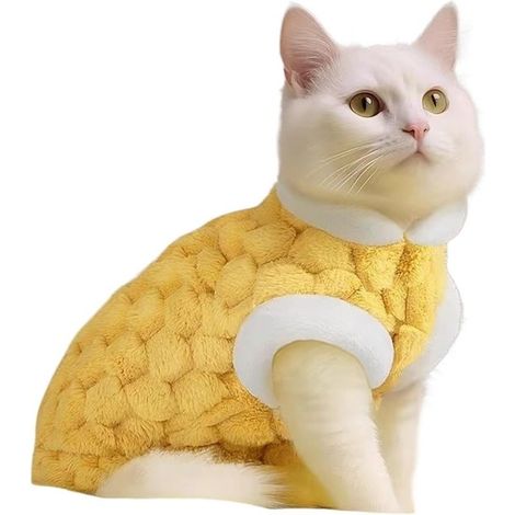 Pull chat mignon - Vêtements doux et chauds pour animaux - Manteau d'hiver avec chats de dessin animé - Épais et chaud - Gilet pour poupées (1/5)