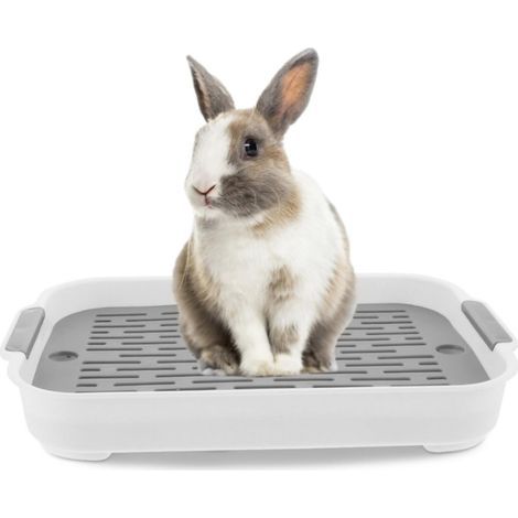 Boîte à litière de Lapin 2 Tier Litter Boîte à litière en Plastique RECTANGULAIRE BUNNE Pet Toilette 7.3x10.6x1,3 Pouce Boîte de litière d'entraîneur de Poche pour Le Hamster Ferret Hamster Hamster H (1/5)
