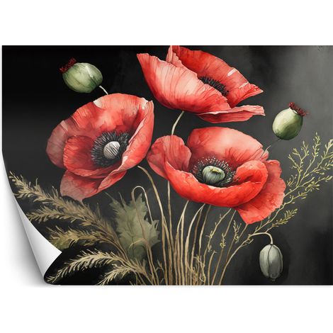Papier peint Coquelicots rouges peints 100x70 (1/5)