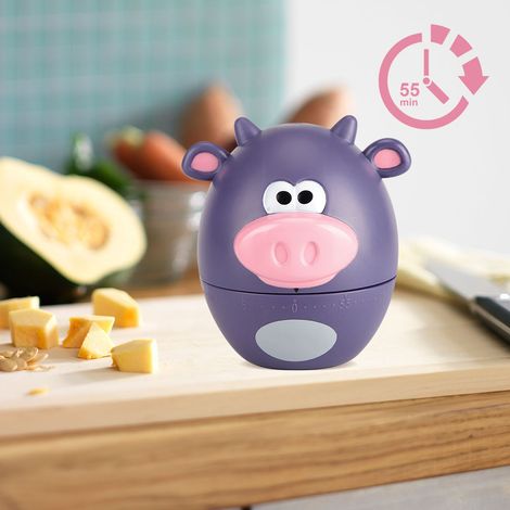 Niedlicher mechanischer Küchentimer mit Cartoon-Motiv, 55 Minuten, Kochzubehör (1/5)