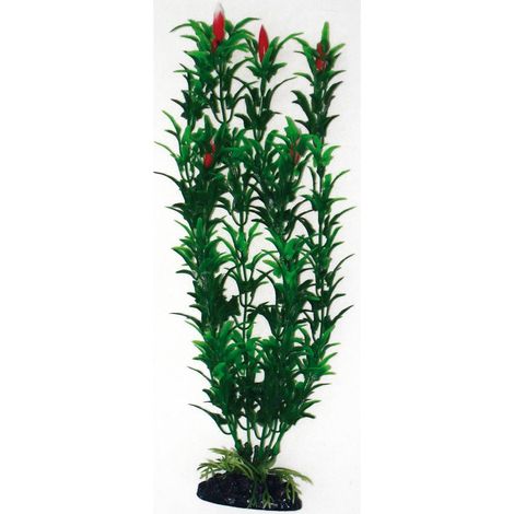 Set 6 pezzi Plant Classic Egeria Flowers Bicolou Small