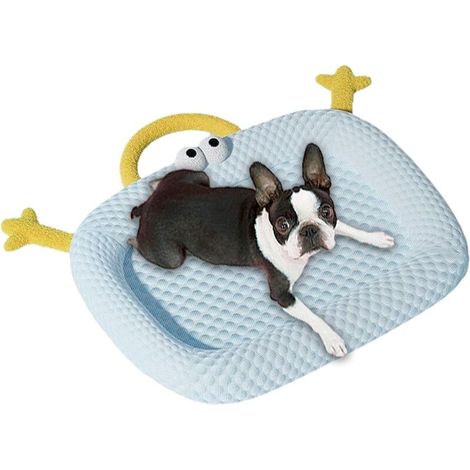 Tapis Rafraîchissants pour Chien Coussin Glacé Confortable (1/5)
