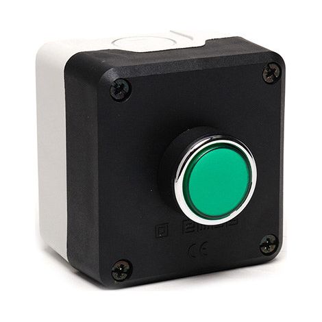 Custodia nera e grigia, pulsante rivestito verde (1NO) T0-P1C300DY (1/4)