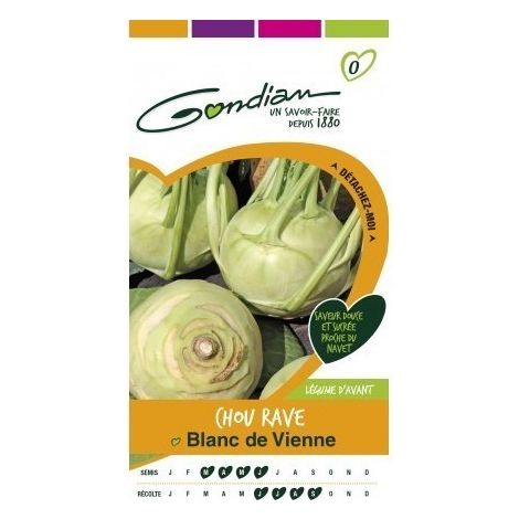Gondian - Chou Rave Blanc de Vienne