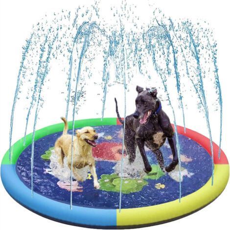 Piscine pliable pour chien et enfants (1/4)