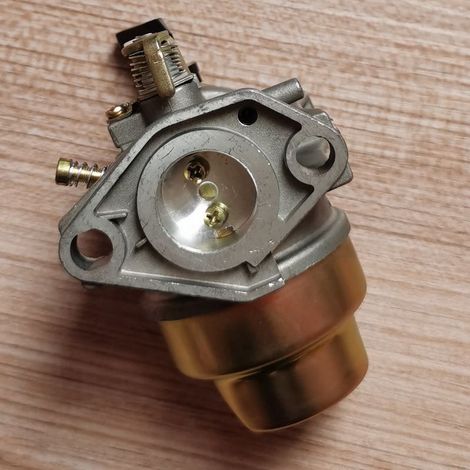Le carburateur G300, de type à chambre à flotteur, convient aux moteurs Mitsubishi G300 et assure une alimentation en carburant stable. (1/5)