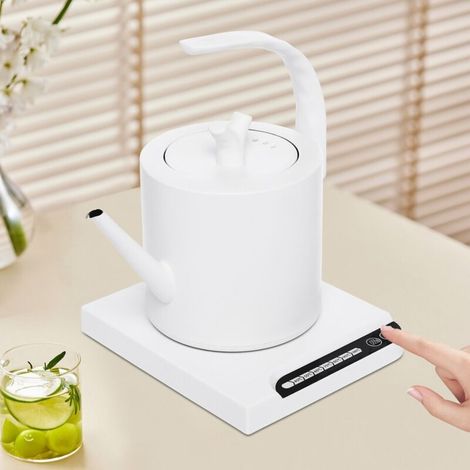 Elektrischer Wasserkocher (1 Liter) mit Sockel, Edelstahl, 1000 W