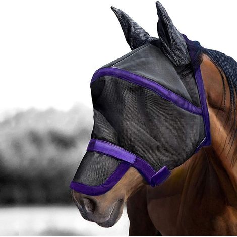 Masque anti-mouches pour cheval (1/3)