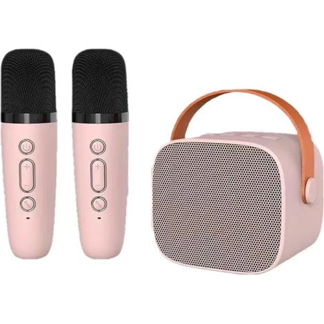 (Rose) Mini enceinte Bluetooth portable, machine karaoké, son surround stéréo, usage domestique