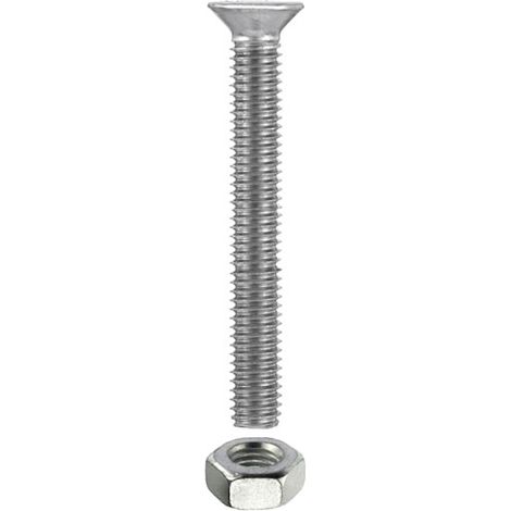 Viti per metallo T.P.S. zincate M4 x 60 - 6 pz.