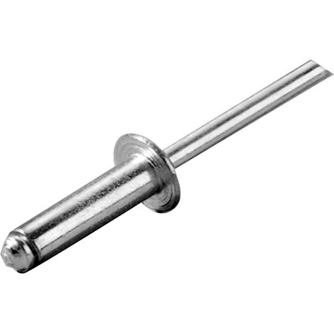 Rivetti oem-marine 4 mm 12 mm acciaio inox 100 pezzi