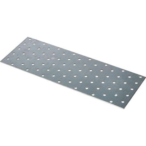 Tôle d Acier Perforée 300 x 100 x 2 mm - Acier, Perforée - Résistante et Polyvalente - D-Work