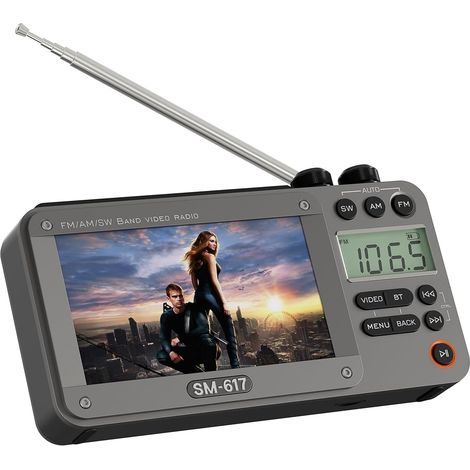 Lecteur Vidéo Radio Portable - Écran 4,3 Pouces 720p - AM FM SW - Lecteur USB Carte SD - Haut-Parleur 5 W - Prise Casque 3,5 mm - Pour Voyage