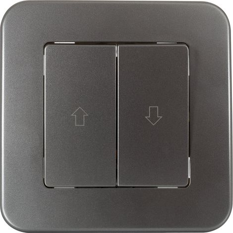 Interrupteur pour Volets Roulants Automatiques Classic Argenté (1/5)