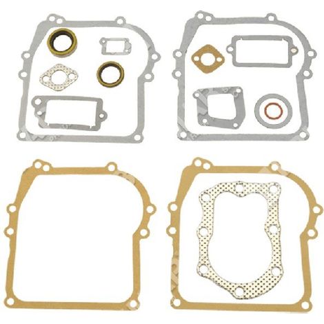 Serie guarnizioni per motori BRIGGS & STRATTON 298989 Compatibile - 006888