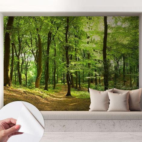 Tapete Selbstklebend - abwaschbar - Tapete mit Motiv - trendige Wanddeko - elegant Fototapete  Naturpfad 208x146 cm (1/5)