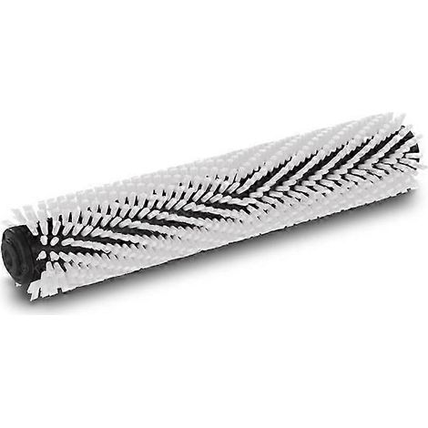 Brosse principale de nettoyage pour rouleaux BR 30/4C - JXLGV (1/5)