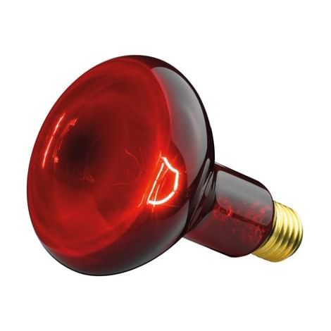 Beurer IL10 Ersatzstrahler 100 Watt für Infrarotlampen