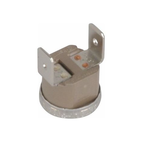 Termostato de seguridad 105°c altais - ROCA BAXI : 125995161